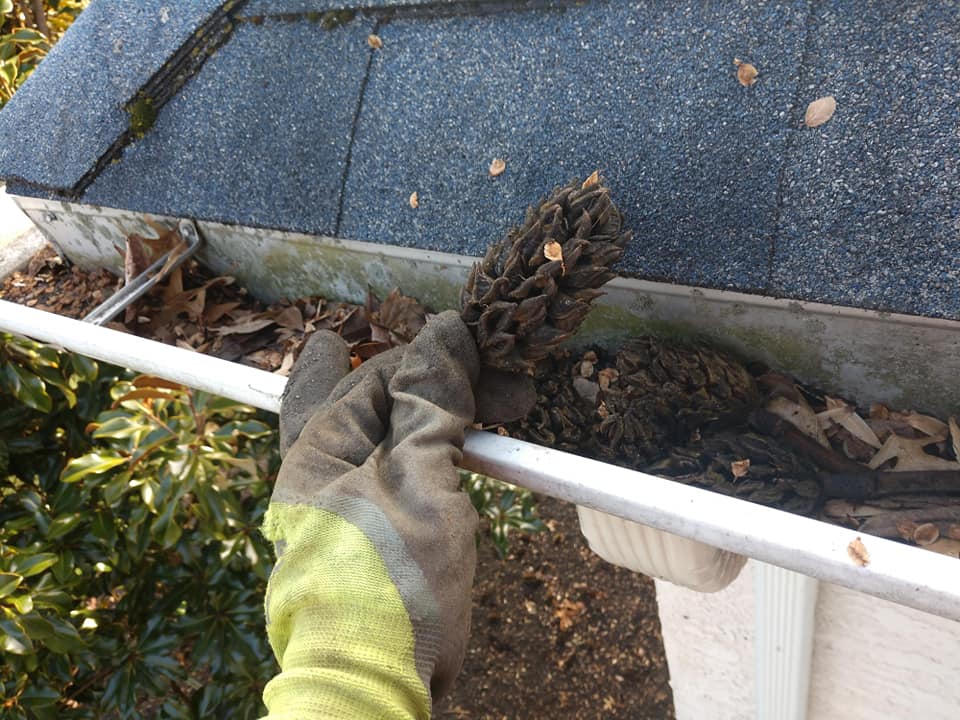 Gutter cleaning before